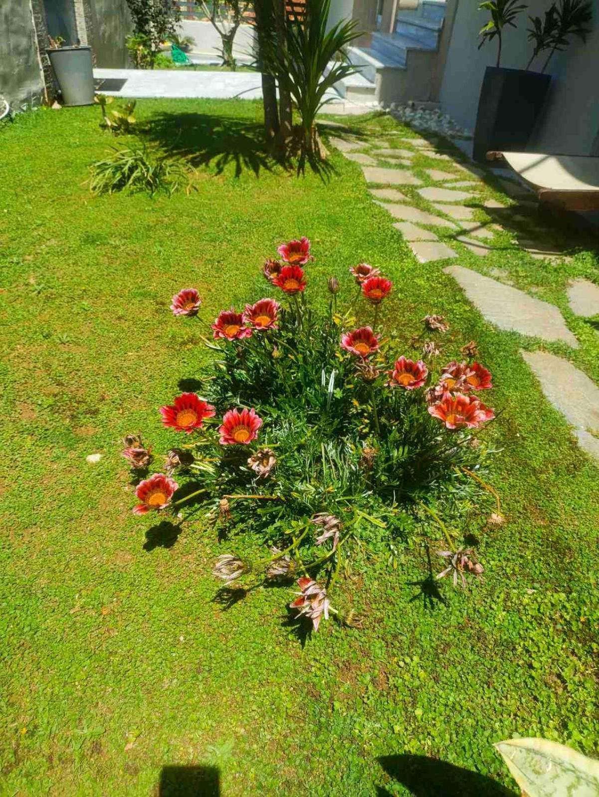 Sunrise Apartment 2 ソウダ エクステリア 写真